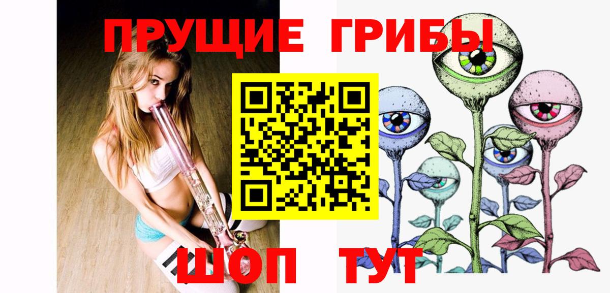 Россия  Галлюциногенные грибы прущие грибы  Вход с VPN 