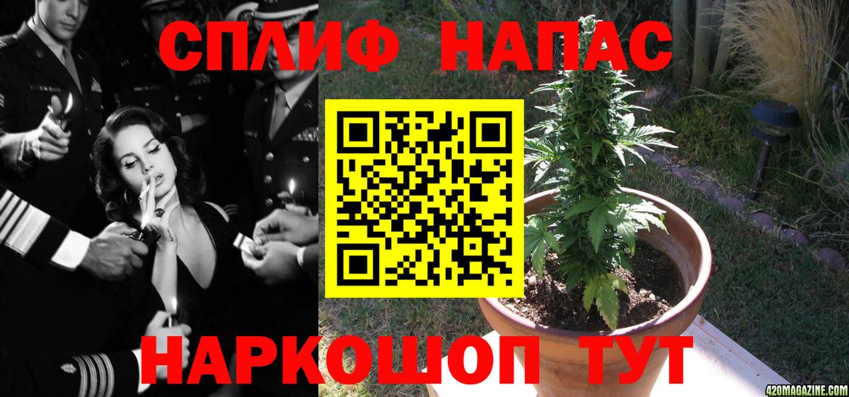 Канабис конопля  Бошки марихуана ГИДРОПОН  Россия  Вход с VPN  Конопля OG Kush  Марихуана индика 